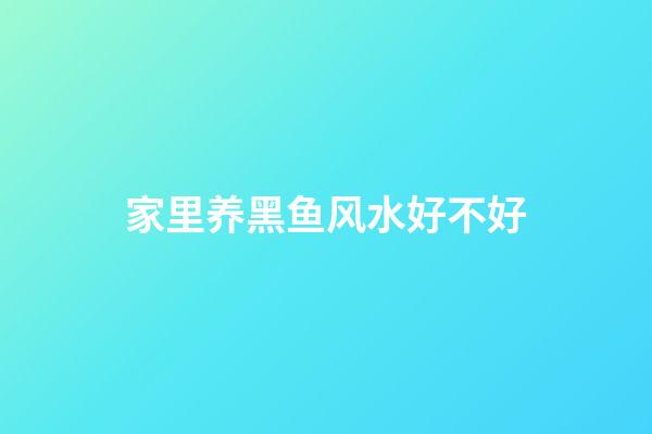 家里养黑鱼风水好不好