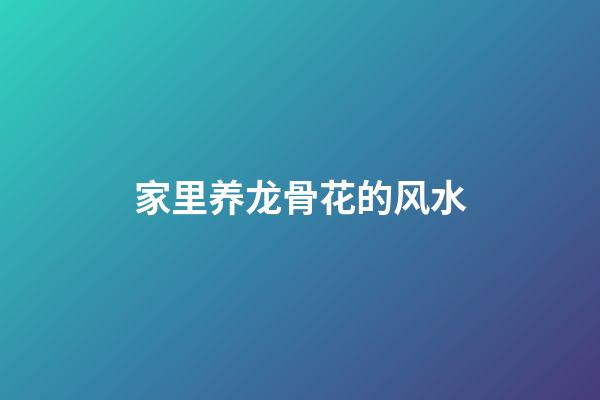 家里养龙骨花的风水