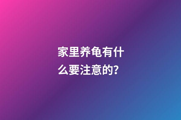 家里养龟有什么要注意的？