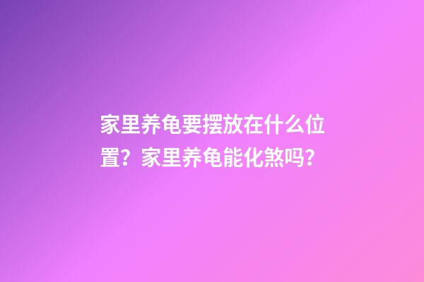 家里养龟要摆放在什么位置？家里养龟能化煞吗？