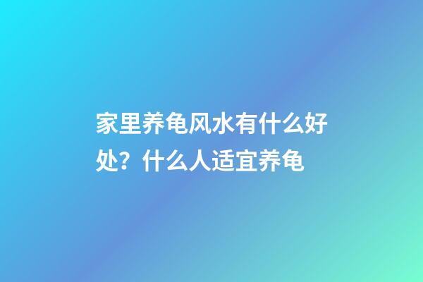 家里养龟风水有什么好处？什么人适宜养龟