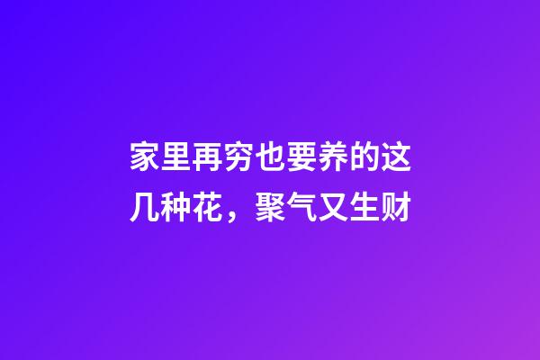 家里再穷也要养的这几种花，聚气又生财