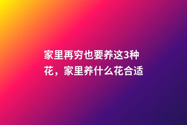 家里再穷也要养这3种花，家里养什么花合适