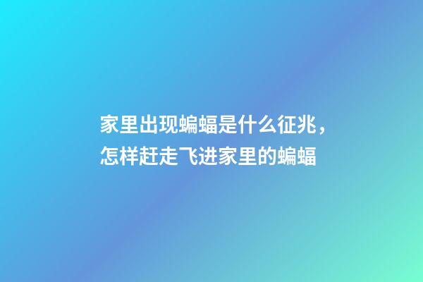 家里出现蝙蝠是什么征兆，怎样赶走飞进家里的蝙蝠