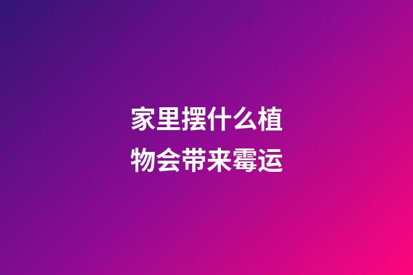 家里摆什么植物会带来霉运
