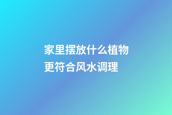 家里摆放什么植物更符合风水调理