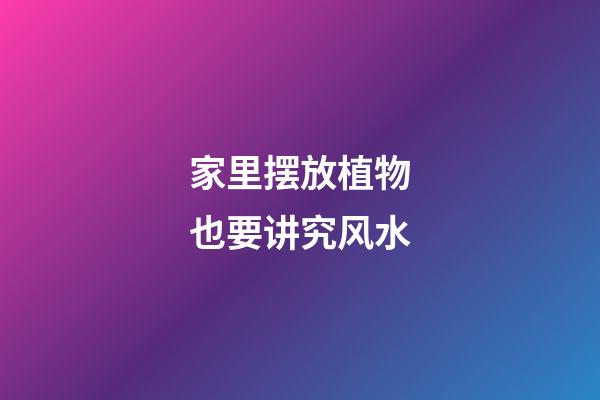 家里摆放植物也要讲究风水