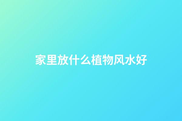 家里放什么植物风水好