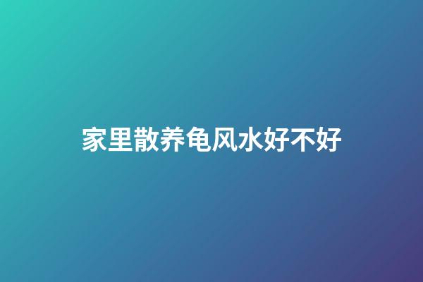 家里散养龟风水好不好