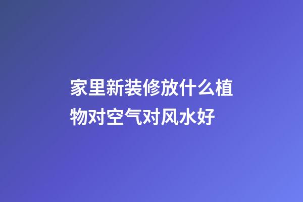 家里新装修放什么植物对空气对风水好