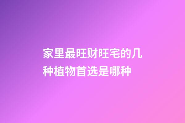 家里最旺财旺宅的几种植物首选是哪种