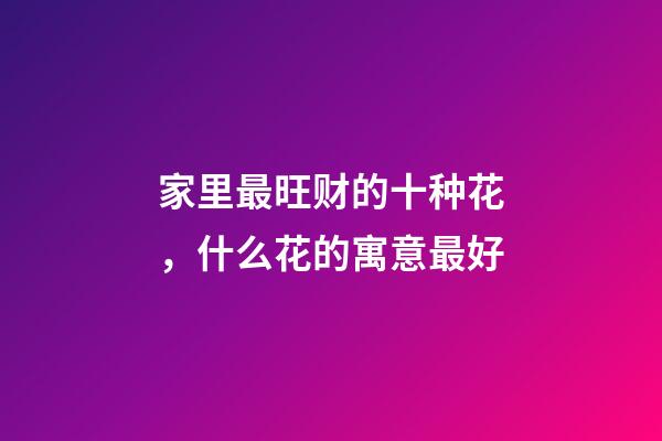 家里最旺财的十种花，什么花的寓意最好