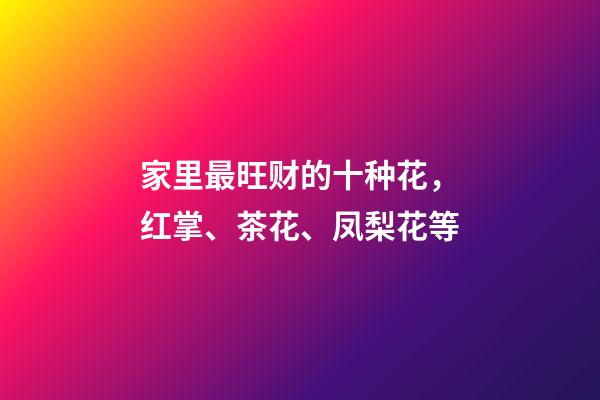 家里最旺财的十种花，红掌、茶花、凤梨花等