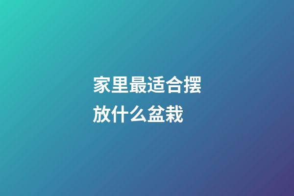 家里最适合摆放什么盆栽