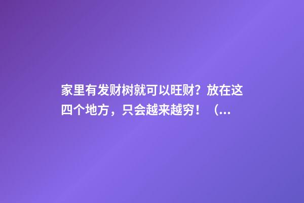 家里有发财树就可以旺财？放在这四个地方，只会越来越穷！（发财树放在家里哪里最旺财）