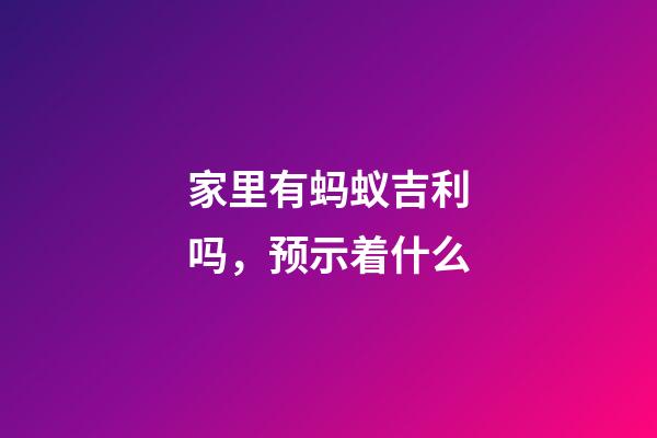 家里有蚂蚁吉利吗，预示着什么