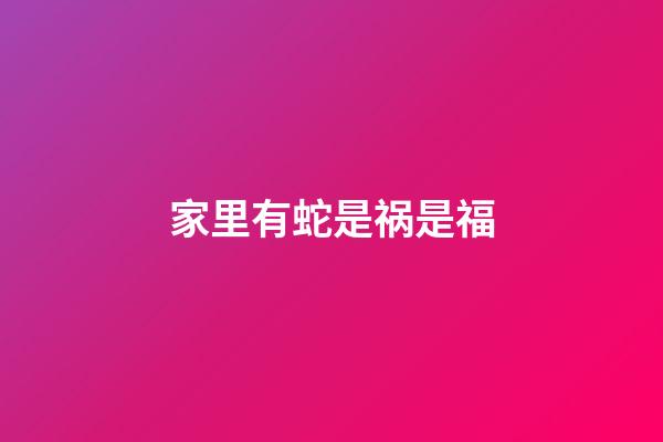 家里有蛇是祸是福