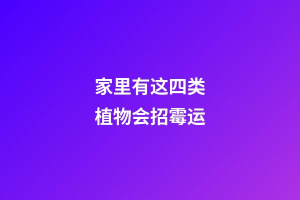 家里有这四类植物会招霉运