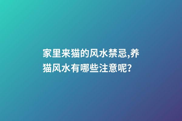 家里来猫的风水禁忌,养猫风水有哪些注意呢？