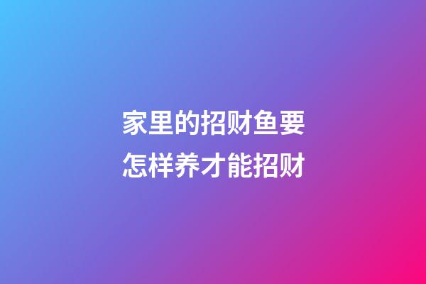 家里的招财鱼要怎样养才能招财