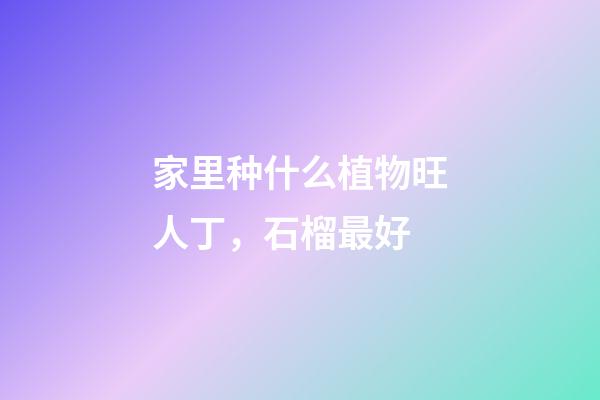 家里种什么植物旺人丁，石榴最好