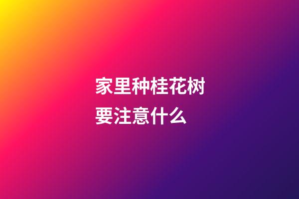 家里种桂花树要注意什么