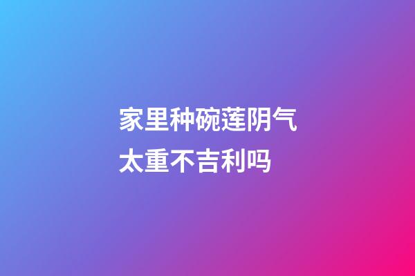 家里种碗莲阴气太重不吉利吗