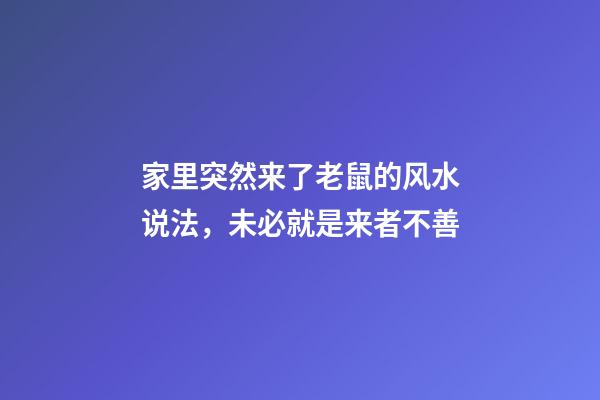 家里突然来了老鼠的风水说法，未必就是来者不善