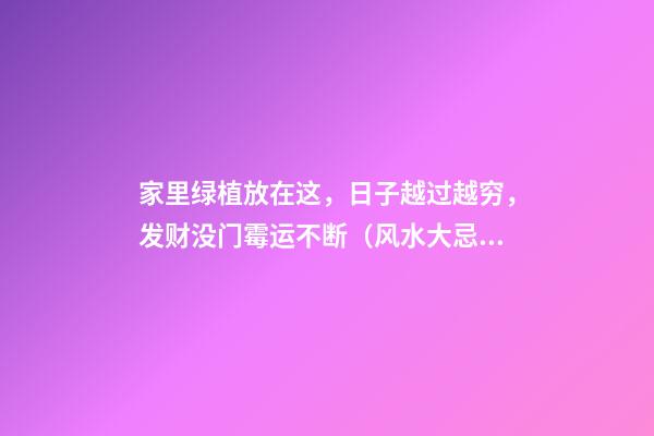 家里绿植放在这，日子越过越穷，发财没门霉运不断（风水大忌:有钱人家里从不放这些植物,难怪越住越穷!）