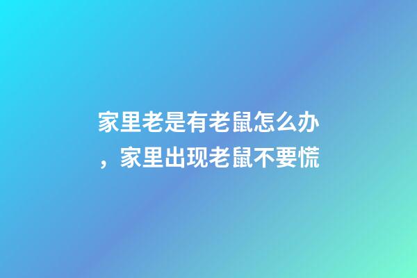 家里老是有老鼠怎么办，家里出现老鼠不要慌-第1张-观点-玄机派