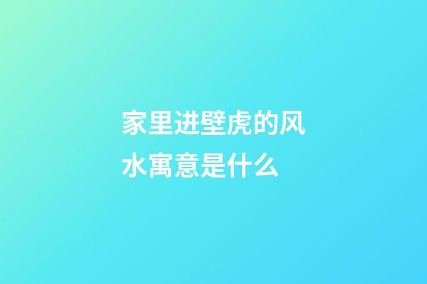 家里进壁虎的风水寓意是什么