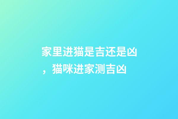 家里进猫是吉还是凶，猫咪进家测吉凶