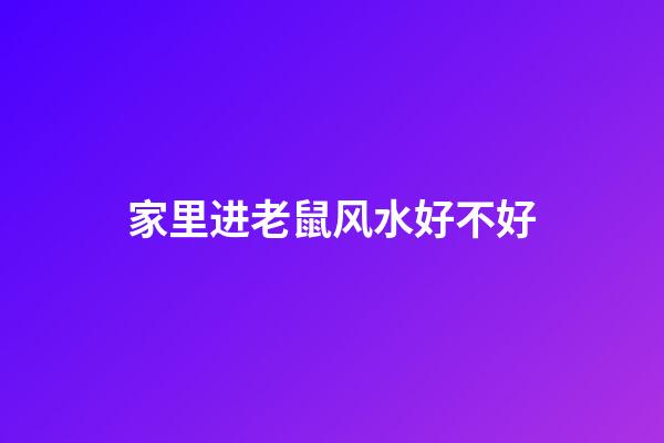 家里进老鼠风水好不好