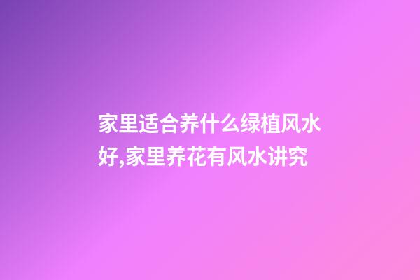 家里适合养什么绿植风水好,家里养花有风水讲究-第1张-观点-玄机派