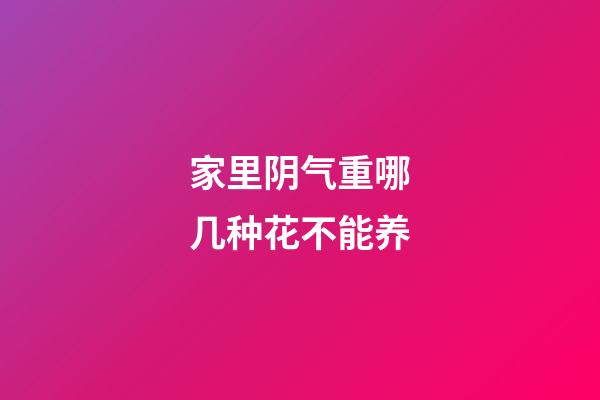 家里阴气重哪几种花不能养
