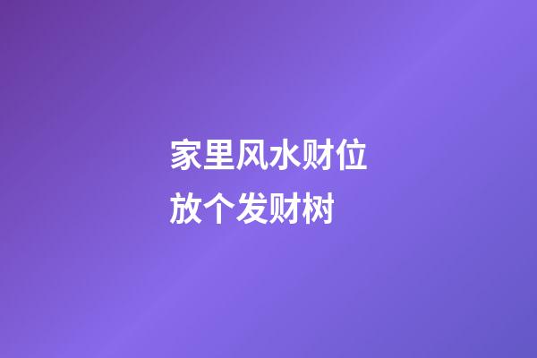 家里风水财位放个发财树