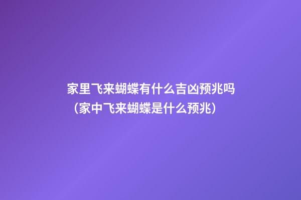 家里飞来蝴蝶有什么吉凶预兆吗（家中飞来蝴蝶是什么预兆）