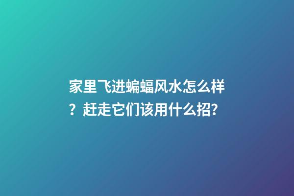 家里飞进蝙蝠风水怎么样？赶走它们该用什么招？