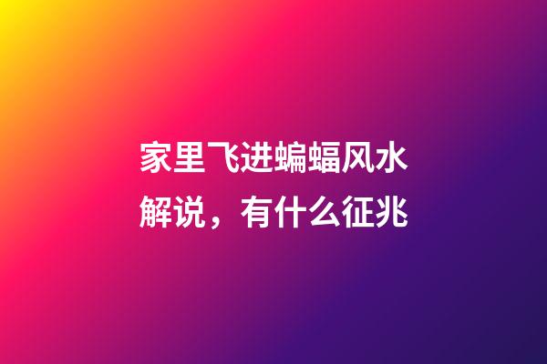 家里飞进蝙蝠风水解说，有什么征兆