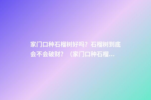 家门口种石榴树好吗？石榴树到底会不会破财？（家门口种石榴树好不好）