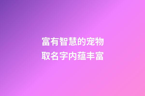 富有智慧的宠物取名字内蕴丰富
