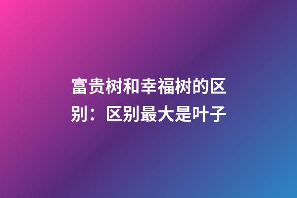 富贵树和幸福树的区别：区别最大是叶子