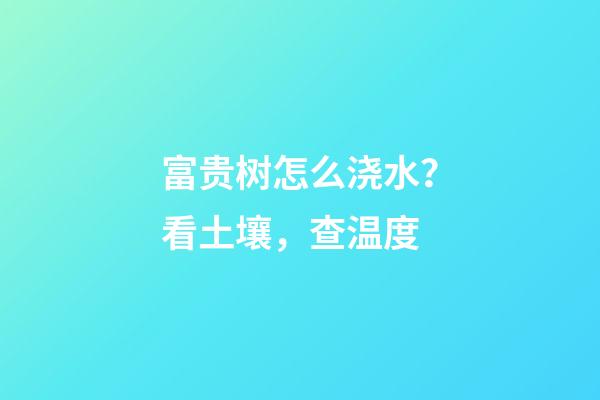 富贵树怎么浇水？看土壤，查温度