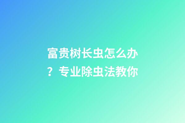 富贵树长虫怎么办？专业除虫法教你