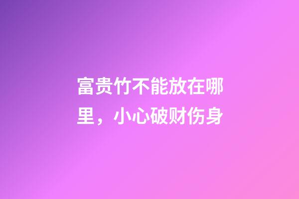 富贵竹不能放在哪里，小心破财伤身