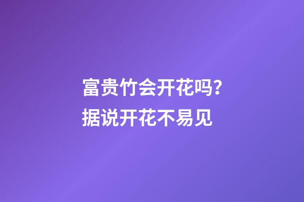 富贵竹会开花吗？据说开花不易见