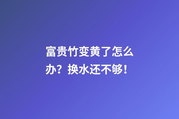 富贵竹变黄了怎么办？换水还不够！