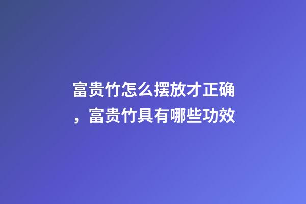 富贵竹怎么摆放才正确，富贵竹具有哪些功效