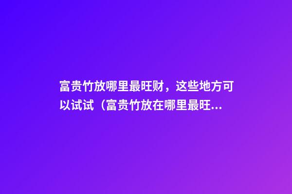 富贵竹放哪里最旺财，这些地方可以试试（富贵竹放在哪里最旺财）