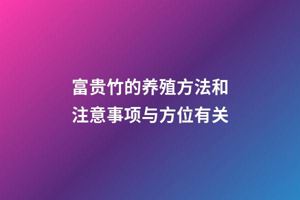 富贵竹的养殖方法和注意事项与方位有关